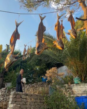 Mine Kılıç Instagram - güzel olan her şey🌿