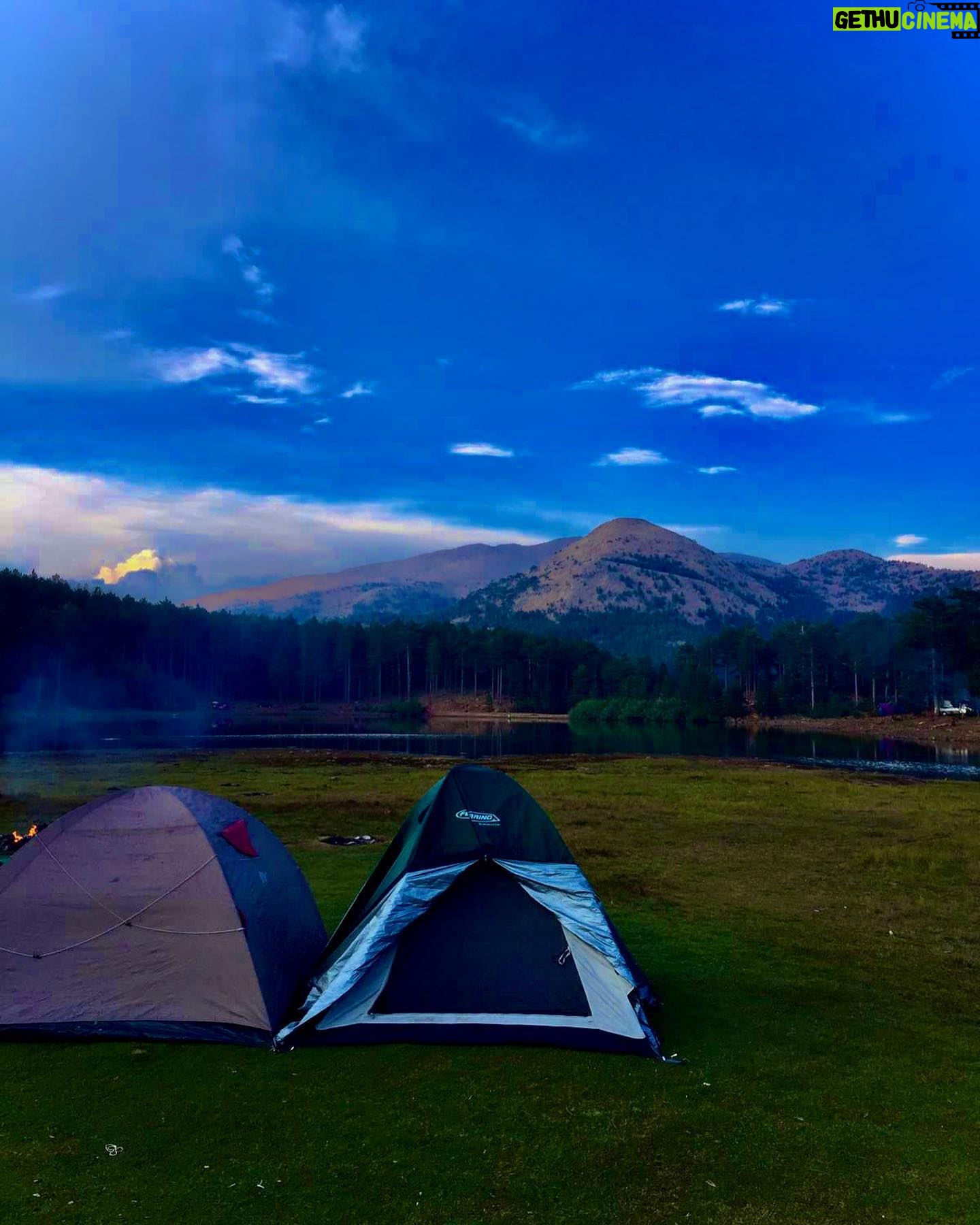 Mine Kılıç Instagram - hayvanlar kadar sevilesi insanlar bulmusumdur!🌌 @gulsahyamn
