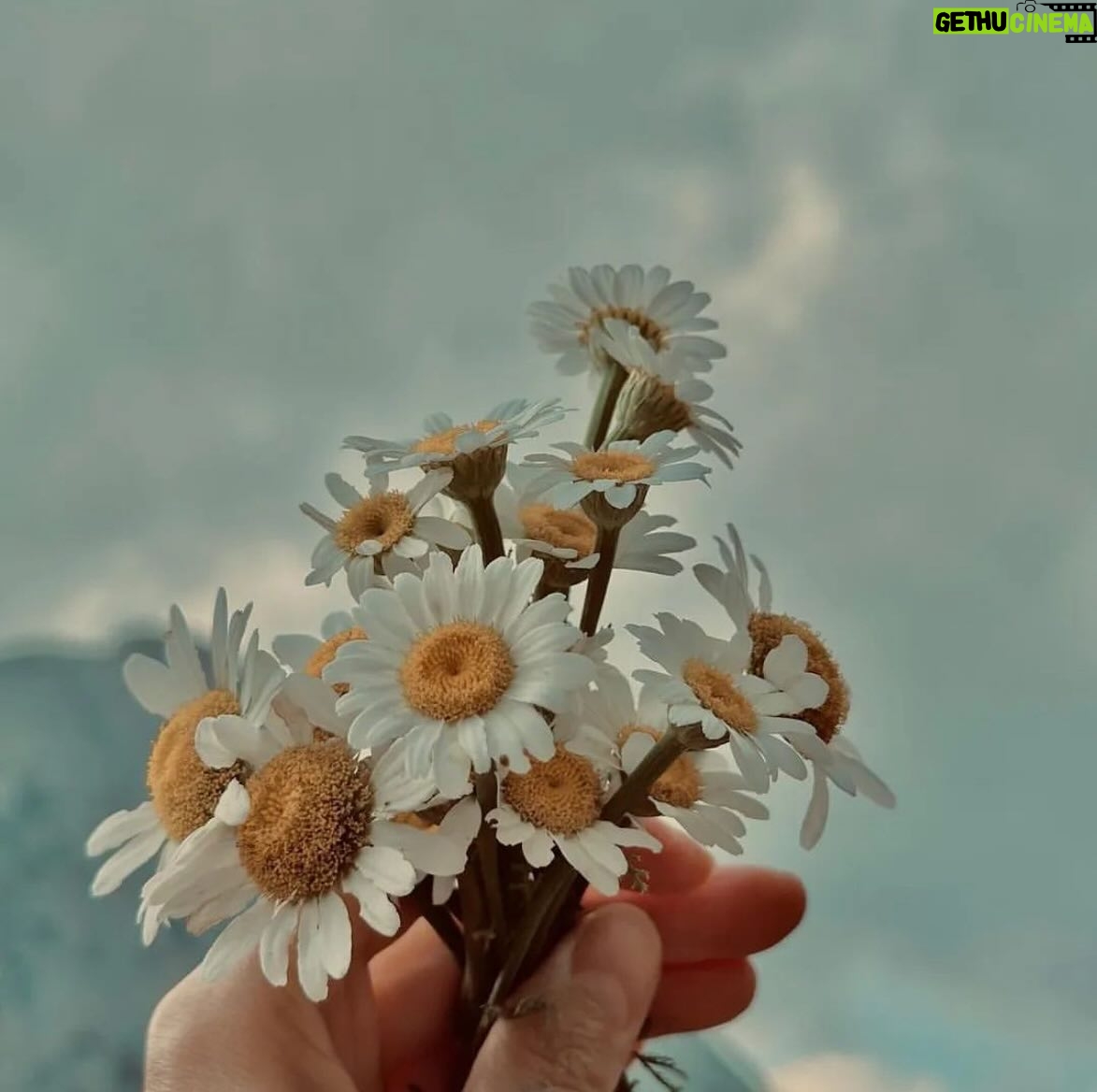 Mine Kılıç - 3.9K Likes - 🌞