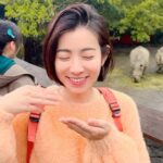 Mini Chao Instagram - 犀牛吃飯飯～🦏🦏🦏