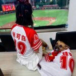 Mini Chao Instagram - 第一次現場看球賽 ～整場的氛圍好沸騰啊❤️ 謝謝可愛的錢錢帶我一起參與 #撥撥POLI親子毛孩日開球貴賓 ～今天當了一日小龍女 跳了幾首應援歌～超害羞的 。 米阿姨太久沒跳舞～真的很喘😓😓😓 #謝謝味全龍的照顧 #謝謝現場球迷們的喜愛