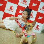 Mini Chao Instagram - 錢錢～找爸爸的一天🐖 這小妞好可愛，只要看到男生就要討摸摸 好久沒帶她出門走走 她玩得好開心。經過球員休息室 聞特別久都不走 #媽媽跟Lulu也不想走🤩 經紀人不容易 ，謝謝 @lu_0227 拍攝📸