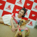 Mini Chao Instagram - 錢錢～找爸爸的一天🐖 這小妞好可愛，只要看到男生就要討摸摸 好久沒帶她出門走走 她玩得好開心。經過球員休息室 聞特別久都不走 #媽媽跟Lulu也不想走🤩 經紀人不容易 ，謝謝 @lu_0227 拍攝📸