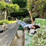 Minnie Driver Instagram - Back garden #saturday with the king (and @addisonodea ) #slimaarons