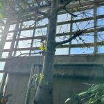 Mio Kudo Instagram - この日は公園はしごした🪴🌿☘️