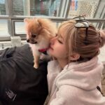 Mirai Yokoda Instagram - 最近夜景とか静かなとこで散歩するの本当に落ち着く アロともお散歩いっぱい🐕‍🦺