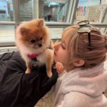 Mirai Yokoda Instagram - 最近夜景とか静かなとこで散歩するの本当に落ち着く アロともお散歩いっぱい🐕‍🦺