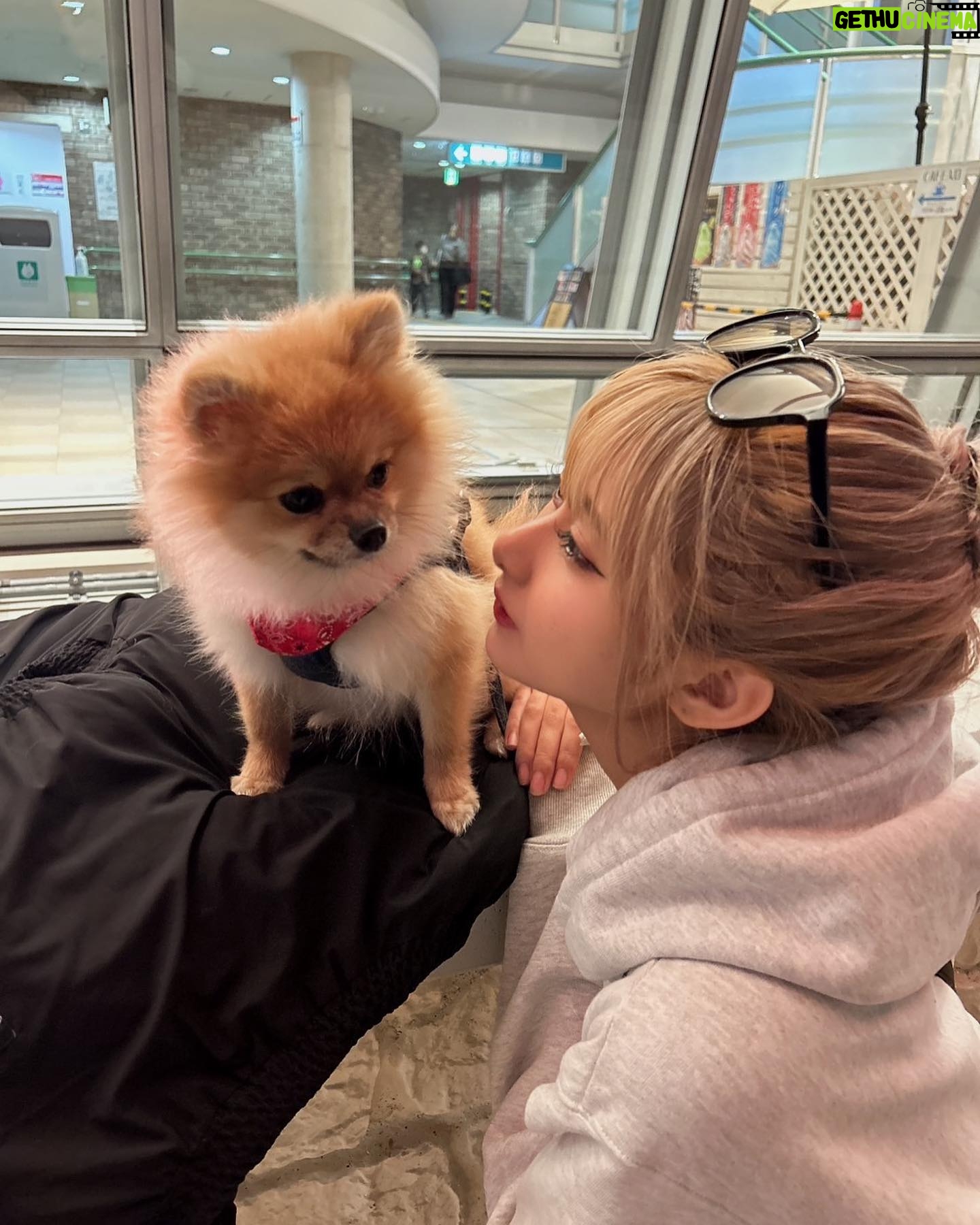 Mirai Yokoda Instagram - 最近夜景とか静かなとこで散歩するの本当に落ち着く アロともお散歩いっぱい🐕🦺