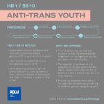 Miranda Rae Mayo Instagram - It is Trans Visibility Day!! I’ve reposted instructions from a personal hero of mine @alokvmenon on how to help our trans community at this crucial time. I’ve also posted @vicenews coverage on the harmful bills in Alabama and Arkansas. Repost from @alokvmenon • via @chasestrangio @aclu_nationwide @raquel_willis It is day 6 of #TransWeekofAction and in addition to continuing our efforts to stop Arkansas’s HB1570, we continue to target Alabama today. Alabama could pass the most sweeping attack on trans youth in history. HB1/SB10 would make it a felony to treat trans youth up to age 19 and forcibly out trans and gender expansive youth to their parents. Please share this info, contact Gov. Ivey and donate to @tko_alabama. Link in bio to access graphics and scripts! Script: Dear Governor Ivey: I am writing because I oppose HB1/SB10 and HB391. These bills needlessly and cruelly target transgender youth in Alabama who are just trying to live their lives and access the care recommended by their doctors and supported by their parents. Trans youth just want to go to school and play sports alongside their friends.  I oppose HB1 and SB10, which interfere with trans youth and their families from being able to seek and access the healthcare they need. Parents, patients, and medical professionals – not politicians – should decide what medical care is in the best interest of any young person. Transgender young people thrive when they are supported by their family, school, and community; however, these bills would take away their personal treatment options, undermining the prevailing recommendations of every major medical association.  I oppose HB391 because it needlessly targets trans women and intersex people in sports when lawmakers cannot even point to a single trans woman currently competing in Alabama. It sends a harmful to trans youth that they don’t belong and will invite costly litigation from private parties and the federal government.  All of these bills will cost the state hundreds of millions of dollars in lost tourism and business revenue. And most significantly, I am worried for my trans loved ones should these bills become law.