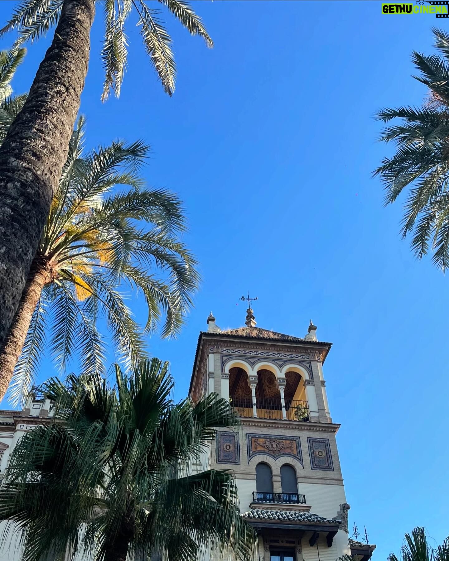 Mirela Balić Instagram - Cuatro días, tres ciudades especiales (la mía, el amado norte y Sevilla), dos clubs, un festival, nuevos amigos, varios procesos, una revolución, un par de hoteles, un avión, dos trenes, un libro, mi compañero de vida, la luna y flores, una bañera y una piscina , una enorme red de apoyo, un crush, mucha comida, poco sueño, casi verano y todo ello llena de amor e infinita gratitud. Gracias por el cuidado, siempre @onlyyouhotelsevilla