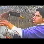Miren Ibarguren Instagram – La alerta de Protección Civil en plena siesta de domingo.