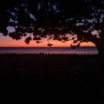 Miriam Giovanelli Instagram - A algo más de 2 horas en avión desde Buenos Aires, a las cuales hay que agregar otras 3 horas en coche, se encuentra Bahía Bustamante. Un antiguo pueblo alguero con espectaculares vistas al mar y amaneceres que desafían cualquier descripción, fundado en los años 50 por el abuelo de Matías. Él y su mujer Astrid se han entregado por completo a su rehabilitación transformándolo en el sitio perfecto para conectar con la naturaleza y desconectar de todo lo demás. Un lugar donde parecería que todo termina, pero en el que su latir, en el que tierra y viento se entrelazan, indica que estás justo en el punto de partida. @bahiabustamante @visitargentina