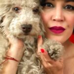 Miriam Lanzoni Instagram - Como poner en palabras este dolor. 💔 Juré que este día no llegaría, x esas cosas que tiene la Magia pensé que nunca te ibas a ir mi compañero. MI CHOCO MI VIDA Y la teoría dice que estas, y si, así es, xq vas a vivir por siempre en mi corazón. Pero la tristeza que siento x tu partida física mi Choquito.. es inexplicable, es ácido que me está quemando. Me vas a hacer mucha falta, mucha… si entendías todo, si tres lengüetazos tuyos lo curaban todo. Con decirte que anoche, que fue la primera noche sin vos, no pude volver a dormir a la cama que compartíamos mi viejito.. 18 años de puro amor, respeto, grandeza, honestidad, lealtad, de acompañarnos. Te amo y te voy a amar siempre. Cuanto aprendí de vos! Y se que estuve a la altura de un ser como vos, REY Gracias x llegar a mi vida y colmarla de Magia buena. Gracias x ser mi hijo. Gracias x ser tan incondicional. Gracias CHOCO Se que fuiste tan feliz como yo, lo sé. Y fuiste libre mi amor. Ahora hay una estrella con rulitos 😍