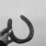 Miriam Saavedra Instagram - libertad, resistencia, espíritu, determinación y coraje🎠 además de su inteligencia superior, el caballo es el animal más noble y espiritual,era la primera vez montando caballo y @fincaelsarao me dieron todas las instrucciones y con amor pude conectar enseguida y montar a esta bella yegua llamada estrella 💫 una experiencia que todos deberíamos experimentar pues además de llenarnos de esta bella energía Podemos disfrutar de un bello panorama en esta hermosa finca en nuestra hermosa Madrid 🤍🎠