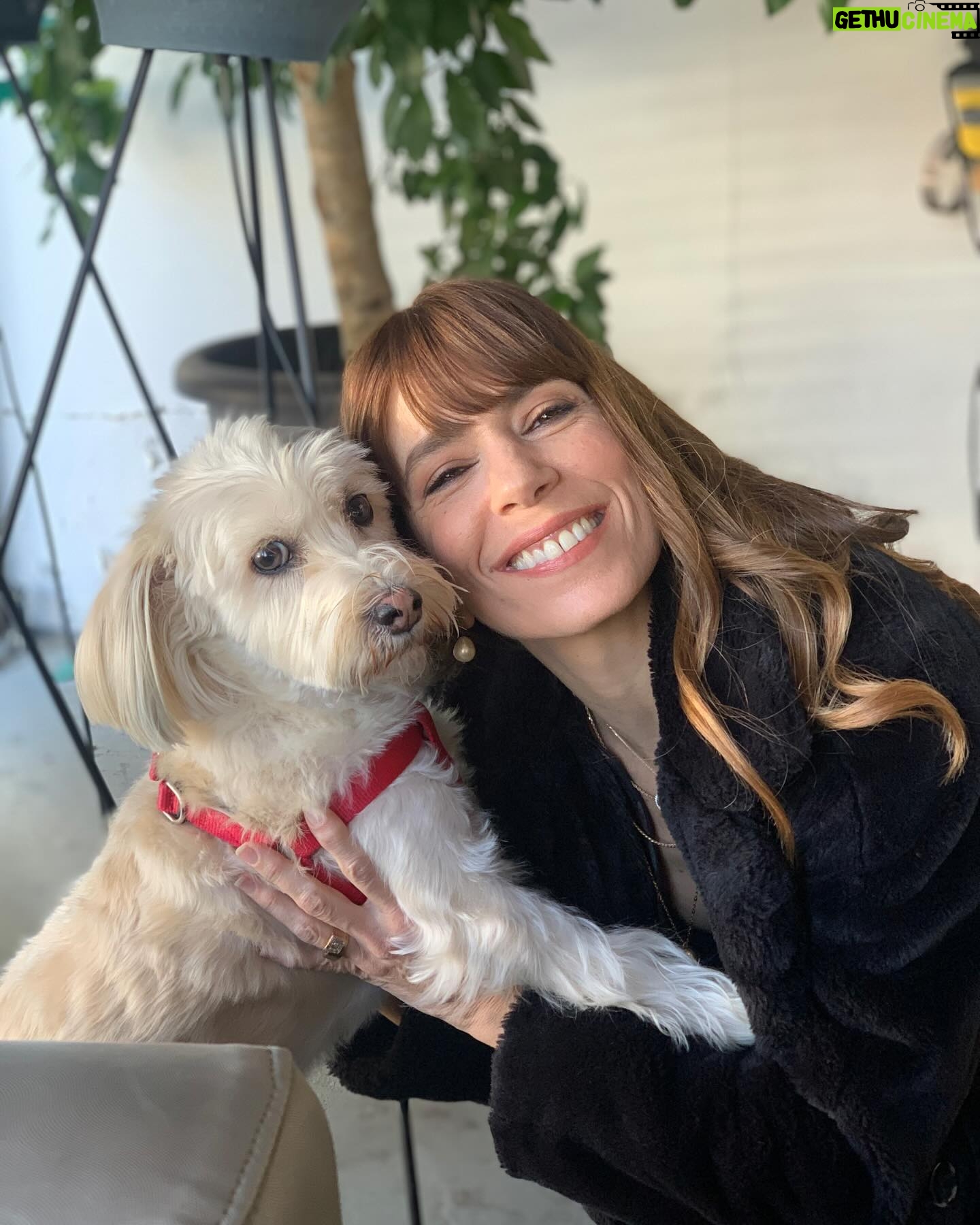 Mirto Alikaki - 2.3K Likes - Alice and me , me and Alice lalalalalalaaaaa 🌹🌺🌸 #mypet #mydog #alice #shootingday @skaravaiosgr click @dimitrahairstyles