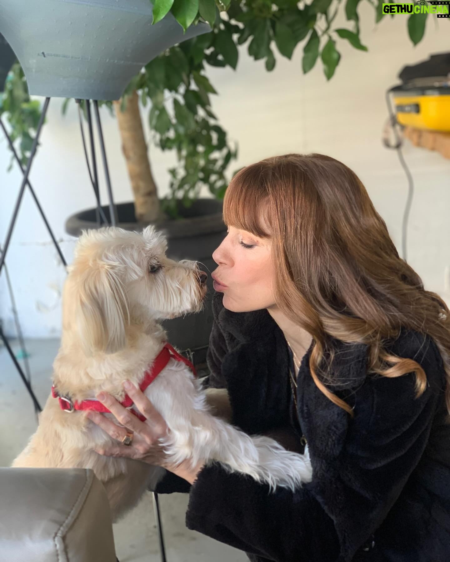 Mirto Alikaki - 2.3K Likes - Alice and me , me and Alice lalalalalalaaaaa 🌹🌺🌸 #mypet #mydog #alice #shootingday @skaravaiosgr click @dimitrahairstyles