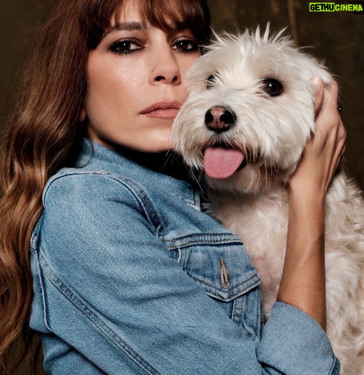 Mirto Alikaki - 2.3K Likes - Με την Αλις στην @voguegreece κλικ @kaplanidis #mypet #mydog #mylove #voguegreece