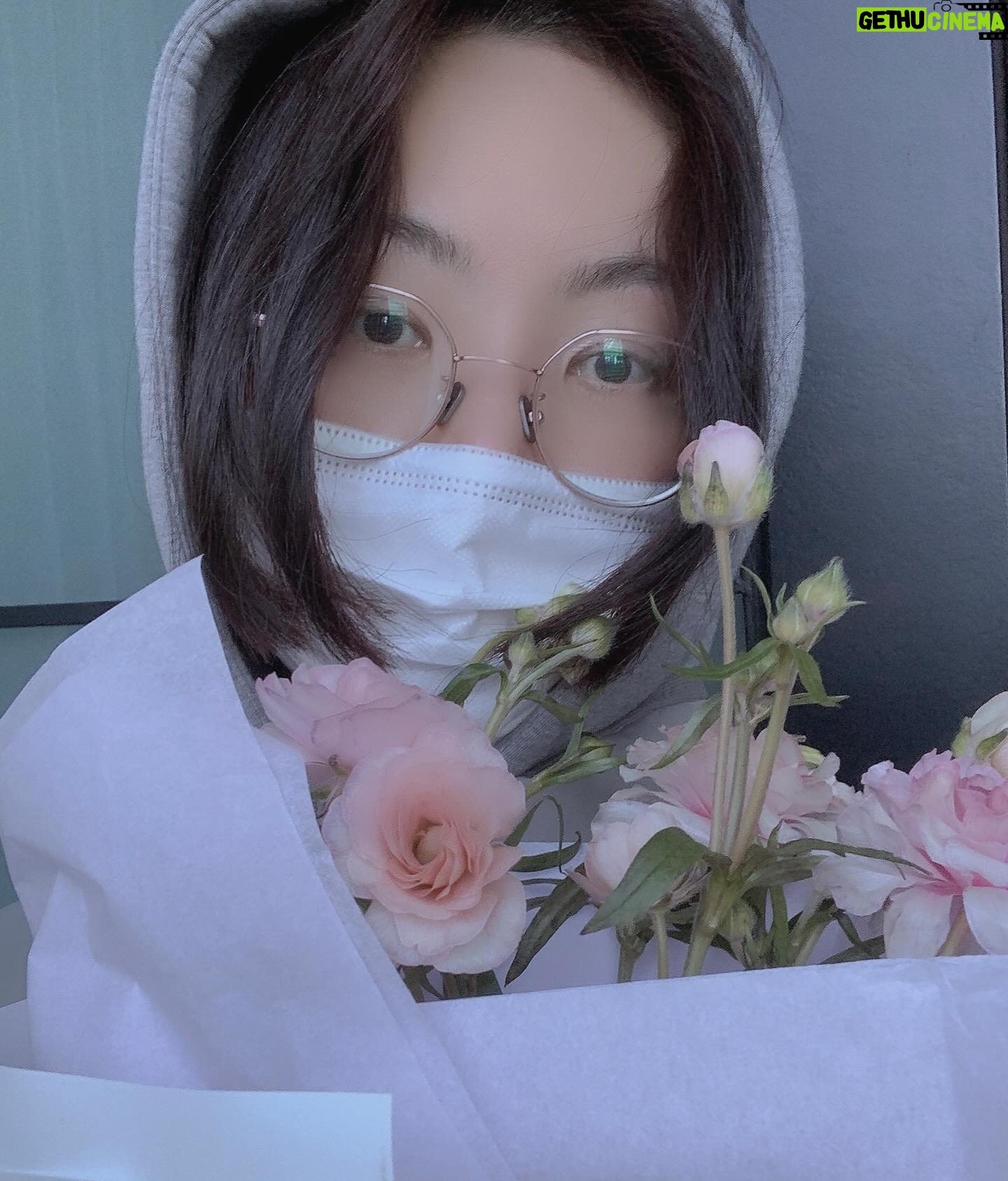 Miryo - 1K Likes - 오늘 감성은 연보라❀ 키키
#마이페이보릿가든