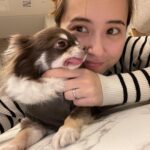 Misa Eto Instagram –
舌ペロぷっぷ🐶
いつも君の優しさに救われてるよ
#もうすぐトリミング
#誕生日は4月6日
#チワワ男の子
