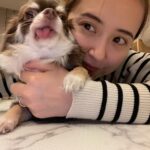Misa Eto Instagram –
舌ペロぷっぷ🐶
いつも君の優しさに救われてるよ
#もうすぐトリミング
#誕生日は4月6日
#チワワ男の子
