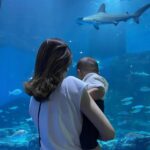 Misa Eto Instagram - ⁡ ⁡ ぼくのなつやすみ🐬 はじめてお魚、サメ、ペンギン、色々な海の生き物を見て興味津々な様子でした。 水族館、涼しかったー😮‍💨🎐 ⁡