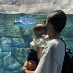 Misa Eto Instagram - ⁡ ⁡ ぼくのなつやすみ🐬 はじめてお魚、サメ、ペンギン、色々な海の生き物を見て興味津々な様子でした。 水族館、涼しかったー😮‍💨🎐 ⁡