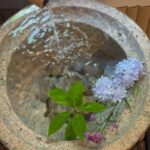Misa Eto Instagram -