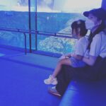 Misako Renbutsu Instagram – 🫧

ちょっと前から最近までの、ときめき

約2年ぶりに会った天使は小学生に、そして弟は言葉を覚えたスーパー自由人に変貌していて、2人にみさこー！みさこー！と呼ばれ続けたこの日、みさこは大変幸せでした😌(5.6枚目）