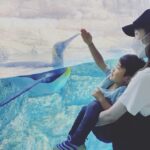 Misako Renbutsu Instagram – 🫧

ちょっと前から最近までの、ときめき

約2年ぶりに会った天使は小学生に、そして弟は言葉を覚えたスーパー自由人に変貌していて、2人にみさこー！みさこー！と呼ばれ続けたこの日、みさこは大変幸せでした😌(5.6枚目）
