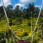 Mischa Barton Instagram - some things I find aesthetically pleasing Bali part 1 🧘🏼‍♂️🪔
