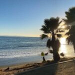 Mischa Barton Instagram - Some Thanksgiving memories with the prince himself, Charles Dickens. Best doggo ever. 🏖