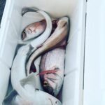 Mischa Barton Instagram - 🇬🇷🤍🐟🧜🏻‍♀️⛴️ paros / antiparos Ευχαριστώ