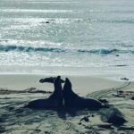 Mischa Barton Instagram - 2022 started of right with camping in Big Sur, road trip w friends, reading. Beautiful Aquarius energy 🌌🏕🌀🌙🌠