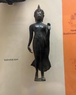 Misha Highstead Instagram - Museum of Natural Titstory: Tits from around the World