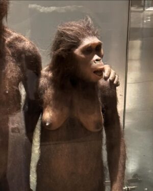 Misha Highstead Instagram - Museum of Natural Titstory: Tits from around the World