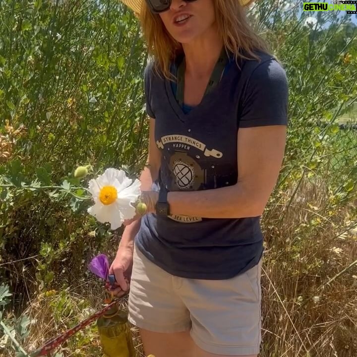 Missi Pyle - 1.9K Likes - So @elizaaclarkw has this @substack and she’s also a dope tarot card reader and stupendously talented writer so she’s made a tarot deck. Each card by hand mind you. and has a @substack article on each of the cards. Since we quit drinking around the same time, she asked to interview me about the card temperance. Which NEITHER OF US LIKES hahaha but it feels essential? Maybe? Ah. Gross. Anyway. If you want to know more about me than anyone other than @ladychristinamoore, Eli or my Gynocologist, please click the link in my bio to read our interview! I LOVE YOU ELIZA. Also. This post and photo and video selection is decadent and NOT full of TEMPERANCE just like her. Us. We…… Posted @withregram • @elizaaclarkw ✨ Temperance ✨
A card about balance and moderation (two things I cannot figure out).
This week, I’m interviewing one of my favorite humans of all time, @missipyle. We are talking about sobriety, honesty, heartbreak, chinchillas, gaping holes, stand up, desire, ADHD, people pleasing, and so much more. Link in bio!
PLEASE FOR THE LOVE OF GOD. Subscribe and tell your friends 💖