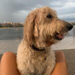 Missy Peregrym Instagram - And then it poured.