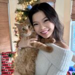 Miya Cech Instagram - merry merry 🎄🐱✨