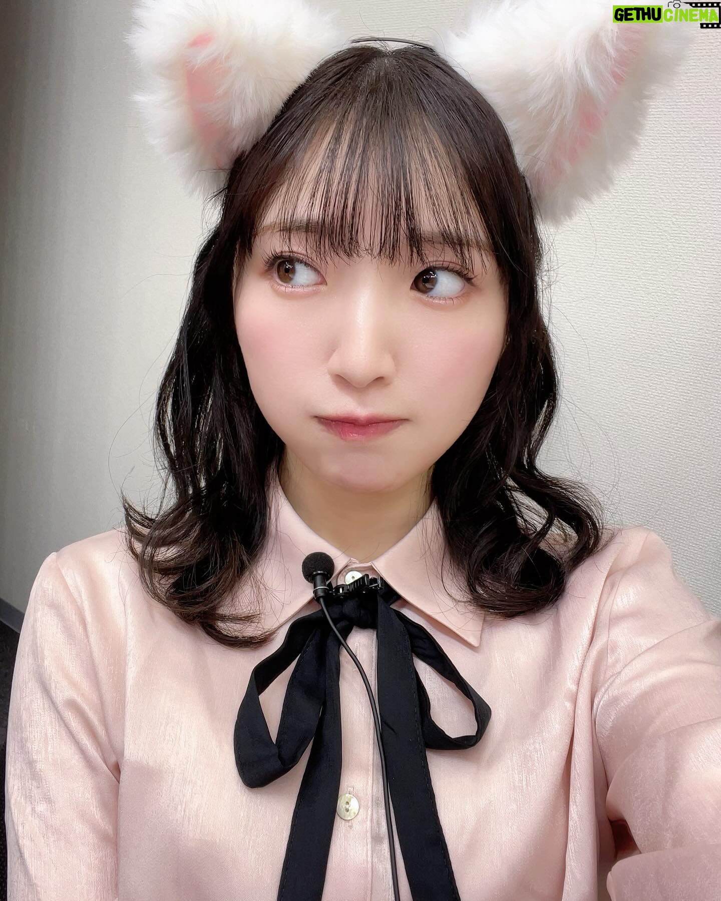 Moe Toyota - 9.5K Likes - これは、まちゃん(Machico)の番組に遊び行った時
説明なく当たり前のように置いてあった猫耳です🐱🔔
#猫の日
#あそつく今日だよ🫰🏻