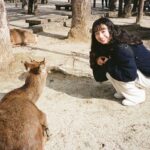 Moe Kamikokuryo Instagram - ⁡ ⁡ ⁡ 鹿ちゃん🦌 ⁡ #宮島