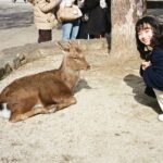 Moe Kamikokuryo Instagram - ⁡ ⁡ ⁡ 鹿ちゃん🦌 ⁡ #宮島