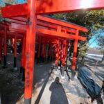 Moemi Katayama Instagram - ⛩️⛩️⛩️ お仕事終わりに 東伏見稲荷神社に 参拝に行って参りました🦊 昨年の年末 京都の伏見稲荷が好きだと言ったら 同じ事務所のパワースポット案内人 下川友子さんに 東伏見稲荷に行ったらいいよ というアドバイスをいただいてから ずっと行きたかったの...!! ようやく行けて なんだかスッキリ✨ 自撮りしたら 頭が輝きました👤✨笑 #moemikatayama #東伏見稲荷神社 #⛩️ #下川友子 さん
