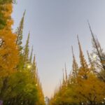 Moemi Katayama Instagram - 🍁 #定期的nature #神宮外苑いちょう並木 #japan #fall #autumn