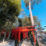 Moemi Katayama Instagram - ⛩️⛩️⛩️ お仕事終わりに 東伏見稲荷神社に 参拝に行って参りました🦊 昨年の年末 京都の伏見稲荷が好きだと言ったら 同じ事務所のパワースポット案内人 下川友子さんに 東伏見稲荷に行ったらいいよ というアドバイスをいただいてから ずっと行きたかったの...!! ようやく行けて なんだかスッキリ✨ 自撮りしたら 頭が輝きました👤✨笑 #moemikatayama #東伏見稲荷神社 #⛩️ #下川友子 さん