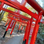 Moemi Katayama Instagram - ⛩️⛩️⛩️ お仕事終わりに 東伏見稲荷神社に 参拝に行って参りました🦊 昨年の年末 京都の伏見稲荷が好きだと言ったら 同じ事務所のパワースポット案内人 下川友子さんに 東伏見稲荷に行ったらいいよ というアドバイスをいただいてから ずっと行きたかったの...!! ようやく行けて なんだかスッキリ✨ 自撮りしたら 頭が輝きました👤✨笑 #moemikatayama #東伏見稲荷神社 #⛩️ #下川友子 さん