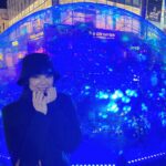 Moemi Katayama Instagram - 🔮🪐💎 不思議な半円の イルミネーション🔮🪐💎 冬は 街がキラキラしていて 綺麗よねぇ❄️ #イルミネーション #moemikatayama ちなみに2枚目は 一生懸命撮ってる マネージャーさんです🤳✨