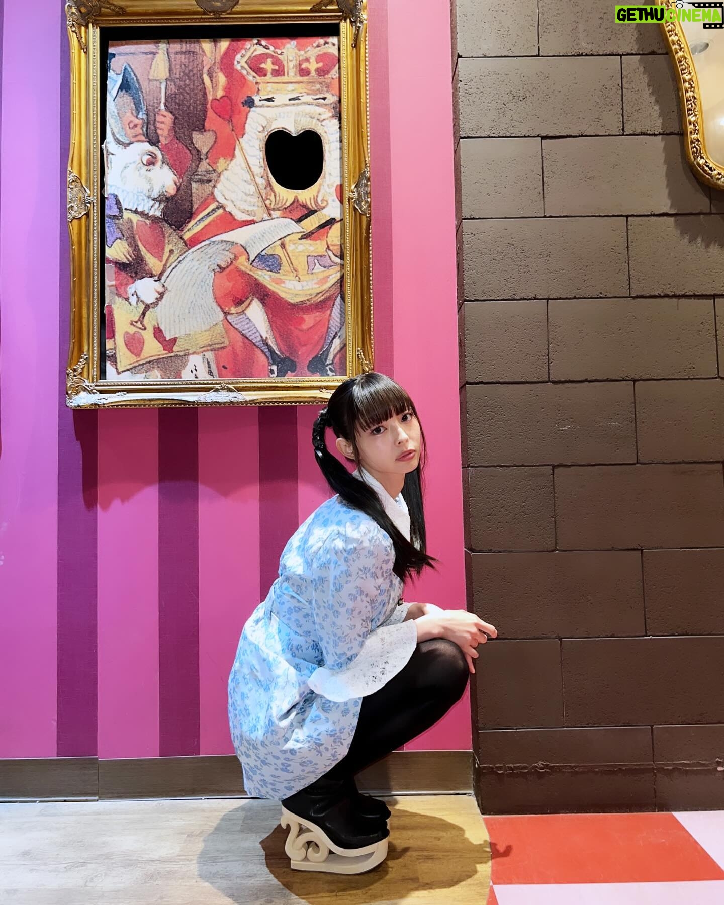 Moga Mogami Instagram - バースデーイベントがとうとう終わりました〜。 東京、福岡とお祝いしにきてくれたみなさま、ありがとう💜 この仕事を10年以上と長く続けていると 引きこもりだった自分からは想像がつかないほど たくさんの人に出会っているんだな、と実感します。 みんながそれぞれの人生を生きて 泣いたり、笑ったり、落ち込んだり、喜んだり ファンの子同士で恋人になって、結婚して、子どもが産まれたりして 私の人生も、みんなの人生も一部分だけでも共有できる仕事って なかなかないし、素敵だなあ〜なんて思いました。 きっとほとんどの人が"みてるだけ"で会えてないけれど 会えた時の楽しさも味わってもらえてるなら嬉しいな。 そして、みんな幸せであって欲しい。 楽しんで帰って欲しい。何日間かは余韻に浸って 普段はなんとも思わない日々も、少し気分が上がってたりして欲しい。 私の存在が、そんな日々の彩りになれたら嬉しい。 出会った人みんながそうでありますように。