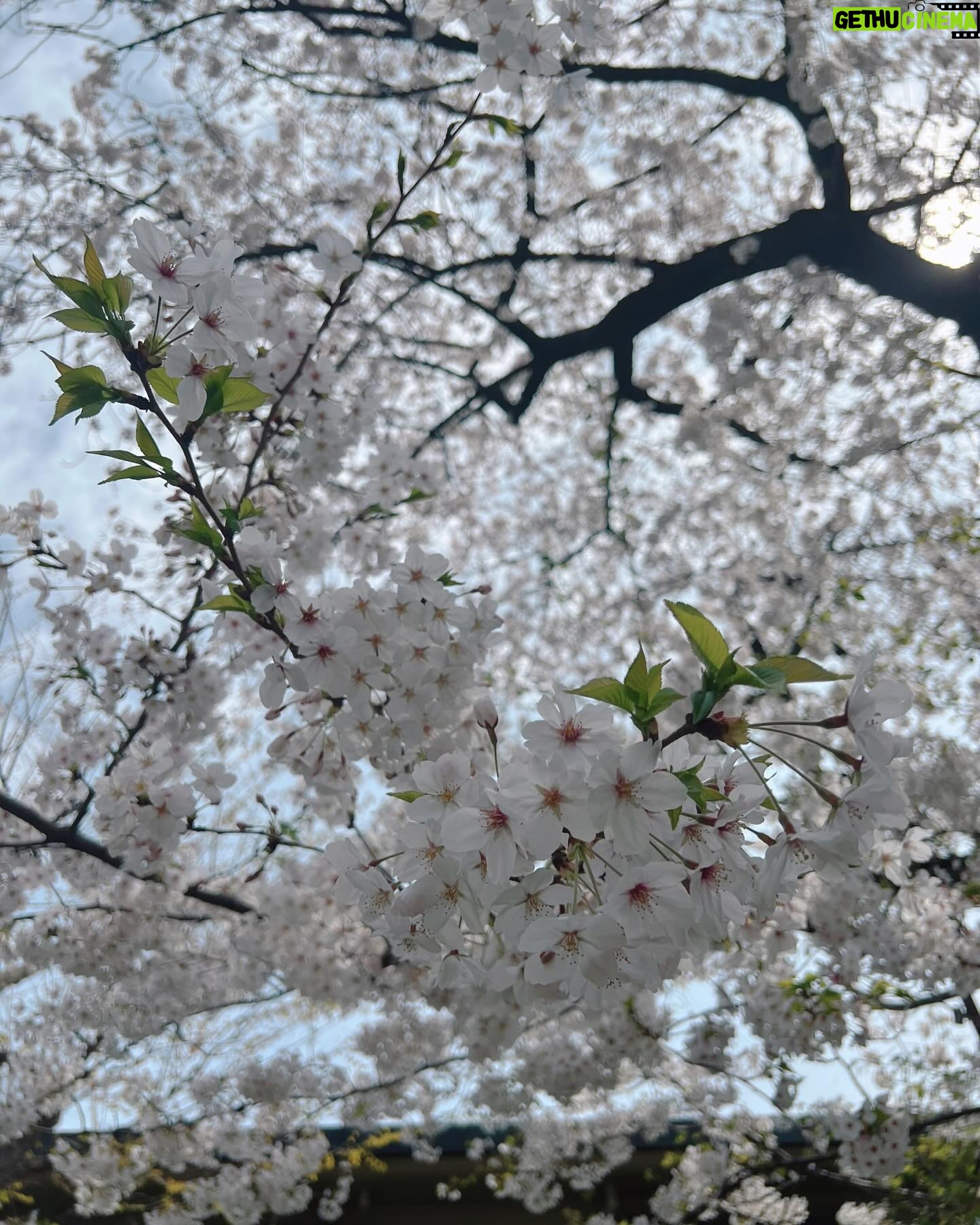 Moga Mogami Instagram - æĨđ¸ åĨãã¨åēäŧããŽåŖį¯ į§ãŽã¤ãŗãšãŋčĻãĻãäēēã¯20äģŖåžåã¨ã30äģŖãå¤ããã ã㊠æ°įæ´ģãĒããĻäēēãįĩæ§ãããŽããĒãŧã čģĸå¤ã¨ãåå°ąčˇã¨ããč˛ã
ããããã į§į°åĸã¯äŊãå¤ããŖãĻãĒãããŠãįŦ ä¸ã¤åēåããã¤ããããæ°ããĒæ°æãĄãĢãĒãŖãĻãīŧ ããĄãŗãŽæšã¨ãŽéĸäŋããåŽļæããåäēēã ãĒãã ããã ã䏿šįãĒæãã ãã§ã¯į˛ããĻããžããŖãĻãã¨ããããŖãã åŋæ´ããĻãããĻããŋããĒãããéã åēæĨãį¯å˛ã§čĄ¨ãĢįĢãŖãĻäģäēãįļããããĒãŖãĻæãã å°ãã§ãį§ãŽäēēįãĢéĸããŖãĻãããĻããã¨ã ããĒããŽį§įæ´ģãĢåŊŠããä¸ããã å
æ°ãĨãããæããã§ããããããĒãŖãĻæãâēī¸ æ°åš´åēĻãæåž
ãããã¨ããĒãããããŗãŗãããŧãĢããĻããããã ããã ãã ãŖãã¨ããĻããæ˛ããžãĒãã§ ãĒããšããčĒåã§čĒåãããŖãããããĒããããĢã