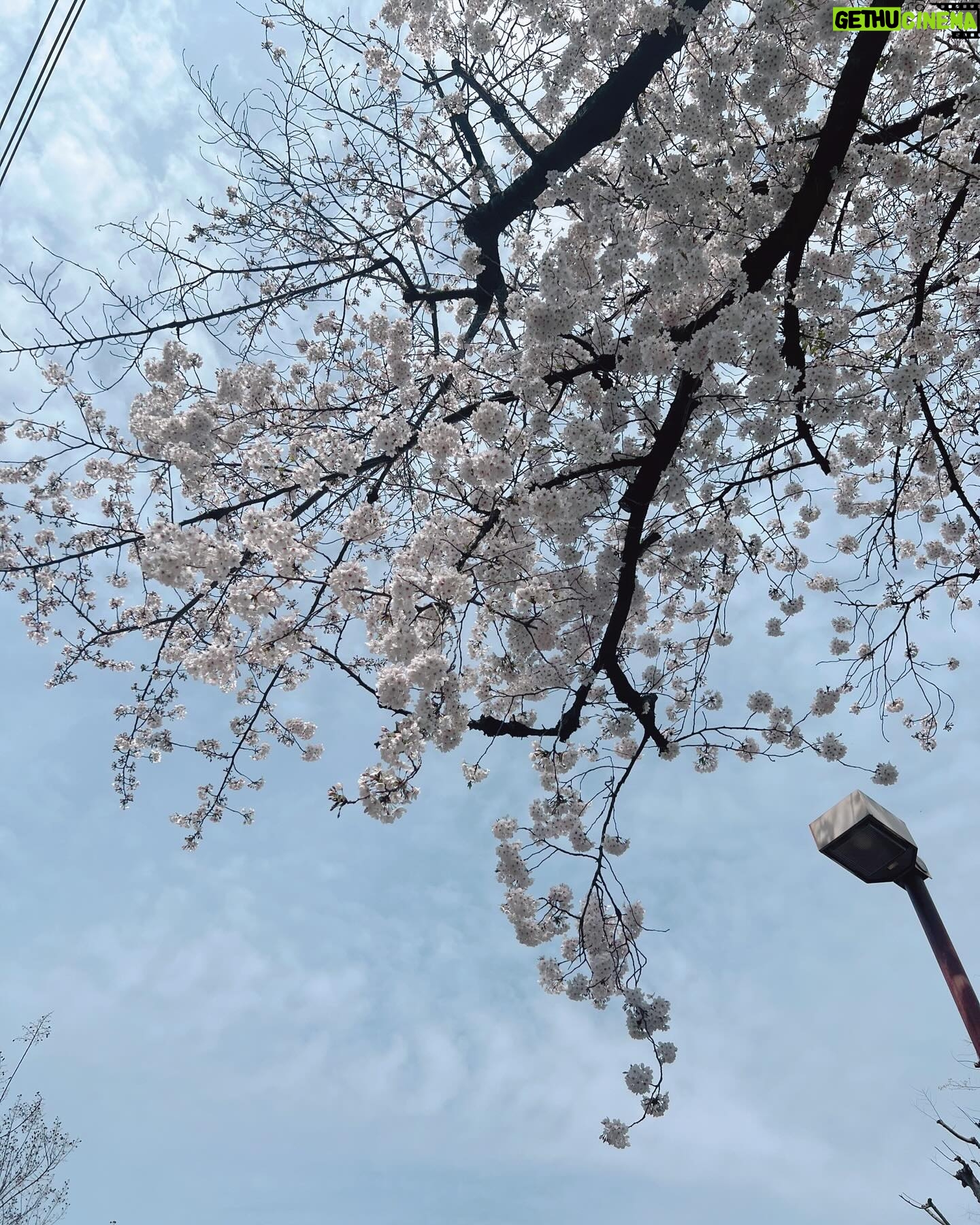 Moga Mogami Instagram - æĨđ¸ åĨãã¨åēäŧããŽåŖį¯ į§ãŽã¤ãŗãšãŋčĻãĻãäēēã¯20äģŖåžåã¨ã30äģŖãå¤ããã ã㊠æ°įæ´ģãĒããĻäēēãįĩæ§ãããŽããĒãŧã čģĸå¤ã¨ãåå°ąčˇã¨ããč˛ã
ããããã į§į°åĸã¯äŊãå¤ããŖãĻãĒãããŠãįŦ ä¸ã¤åēåããã¤ããããæ°ããĒæ°æãĄãĢãĒãŖãĻãīŧ ããĄãŗãŽæšã¨ãŽéĸäŋããåŽļæããåäēēã ãĒãã ããã ã䏿šįãĒæãã ãã§ã¯į˛ããĻããžããŖãĻãã¨ããããŖãã åŋæ´ããĻãããĻããŋããĒãããéã åēæĨãį¯å˛ã§čĄ¨ãĢįĢãŖãĻäģäēãįļããããĒãŖãĻæãã å°ãã§ãį§ãŽäēēįãĢéĸããŖãĻãããĻããã¨ã ããĒããŽį§įæ´ģãĢåŊŠããä¸ããã å
æ°ãĨãããæããã§ããããããĒãŖãĻæãâēī¸ æ°åš´åēĻãæåž
ãããã¨ããĒãããããŗãŗãããŧãĢããĻããããã ããã ãã ãŖãã¨ããĻããæ˛ããžãĒãã§ ãĒããšããčĒåã§čĒåãããŖãããããĒããããĢã