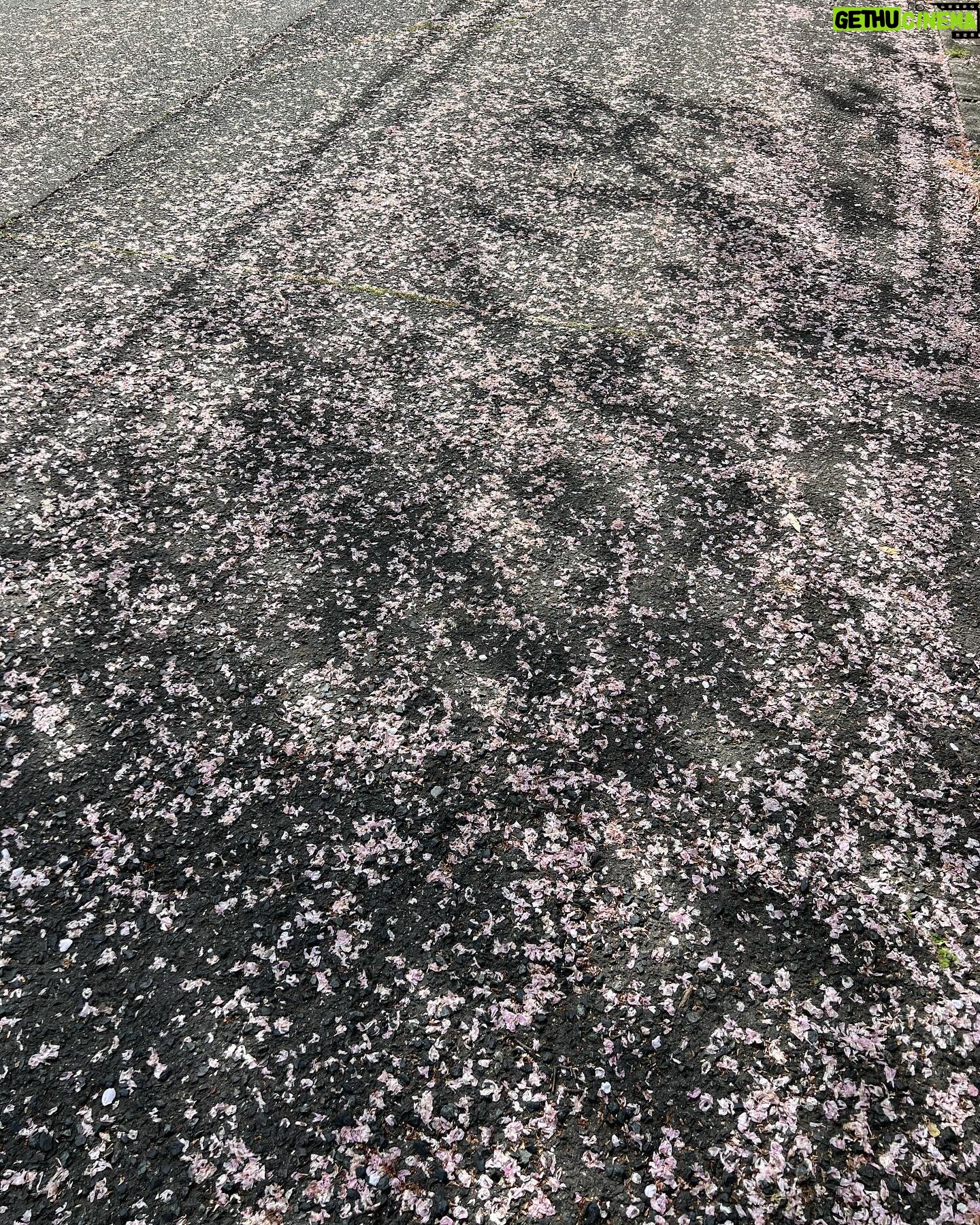 Moga Mogami Instagram - æĨđ¸ åĨãã¨åēäŧããŽåŖį¯ į§ãŽã¤ãŗãšãŋčĻãĻãäēēã¯20äģŖåžåã¨ã30äģŖãå¤ããã ã㊠æ°įæ´ģãĒããĻäēēãįĩæ§ãããŽããĒãŧã čģĸå¤ã¨ãåå°ąčˇã¨ããč˛ã
ããããã į§į°åĸã¯äŊãå¤ããŖãĻãĒãããŠãįŦ ä¸ã¤åēåããã¤ããããæ°ããĒæ°æãĄãĢãĒãŖãĻãīŧ ããĄãŗãŽæšã¨ãŽéĸäŋããåŽļæããåäēēã ãĒãã ããã ã䏿šįãĒæãã ãã§ã¯į˛ããĻããžããŖãĻãã¨ããããŖãã åŋæ´ããĻãããĻããŋããĒãããéã åēæĨãį¯å˛ã§čĄ¨ãĢįĢãŖãĻäģäēãįļããããĒãŖãĻæãã å°ãã§ãį§ãŽäēēįãĢéĸããŖãĻãããĻããã¨ã ããĒããŽį§įæ´ģãĢåŊŠããä¸ããã å
æ°ãĨãããæããã§ããããããĒãŖãĻæãâēī¸ æ°åš´åēĻãæåž
ãããã¨ããĒãããããŗãŗãããŧãĢããĻããããã ããã ãã ãŖãã¨ããĻããæ˛ããžãĒãã§ ãĒããšããčĒåã§čĒåãããŖãããããĒããããĢã